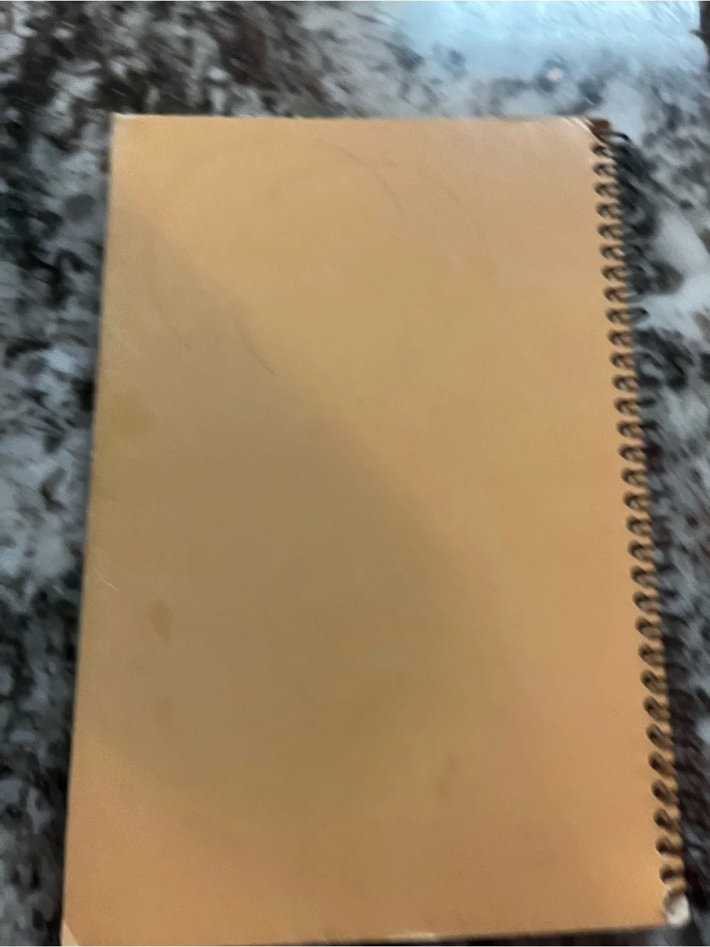 Vintage Favorite Family Recipes Cookbook 1987-1991 Spiral Bound Company cookbook